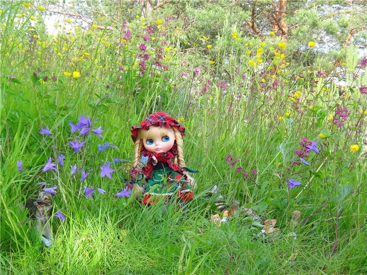 Путешествие в Сказку — Оригинальные куклы Blythe (Блайз): Takara