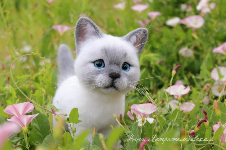 На прогулке — Валяные игрушки из шерсти: сухое валяние