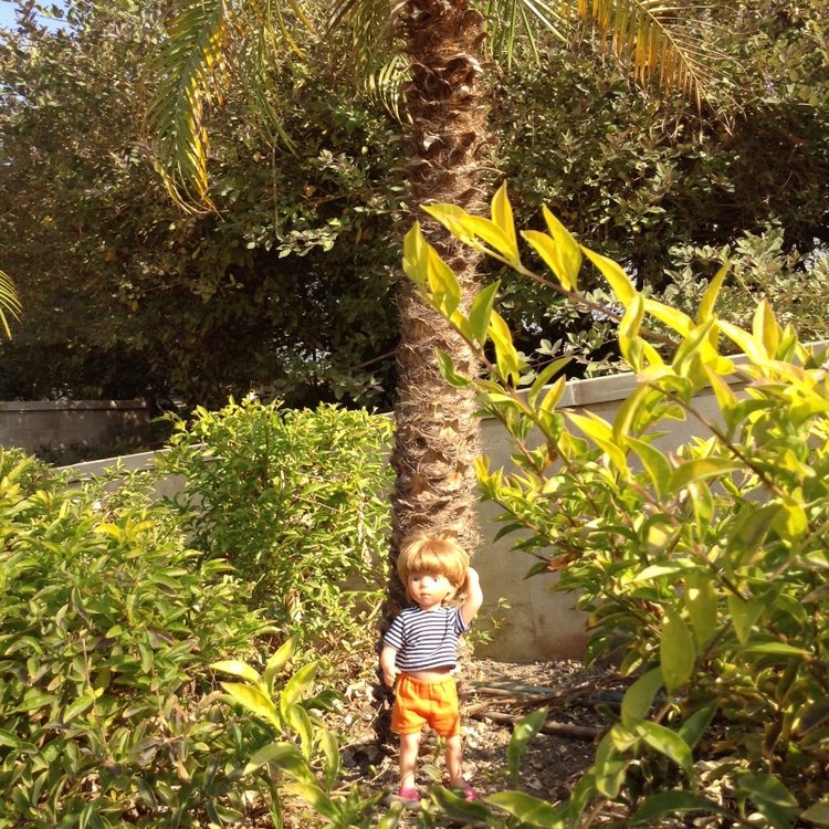 Белое солнце пустыни. Ч.1 Дорога к морю