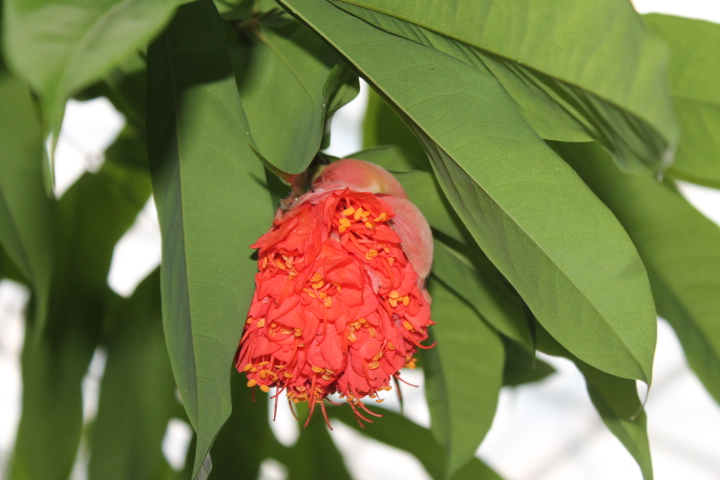 По Германии: зоопарк Лейпцига, часть 2