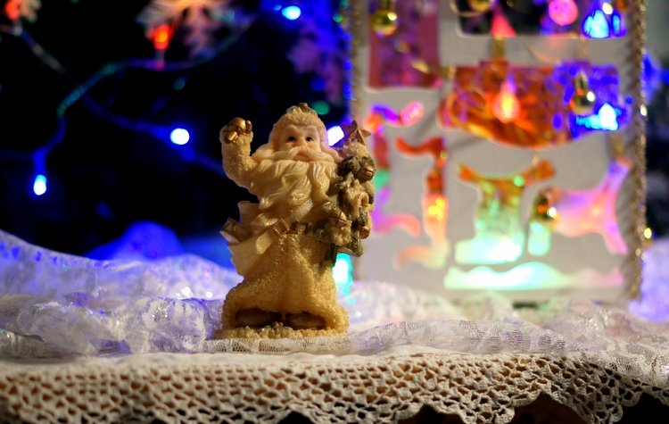 Праздничный фонарь — Другие хобби и увлечения: сад