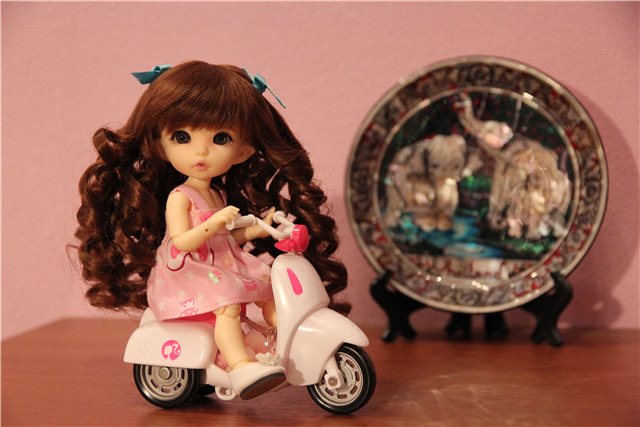 На чем путешествуют БЖД? Обновки Амели!!! Малышка БЖД