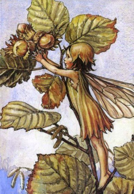 Долгая жизнь цветочных фей от иллюстраций Cicely Mary Barker до кукол Birgitte Frigast