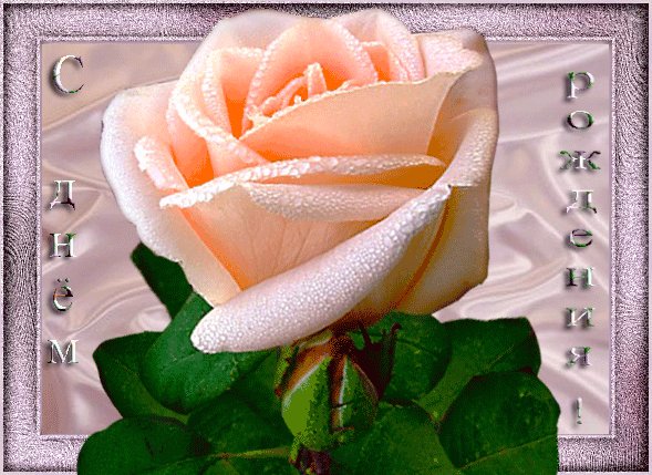 Подарок для мамы! Sandra & Tine by Heidi Plusczok (фото 3)