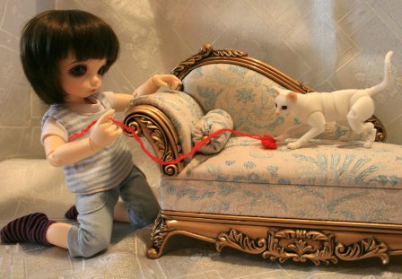 БЖД питомец - кот Као-Мани (фото 2)