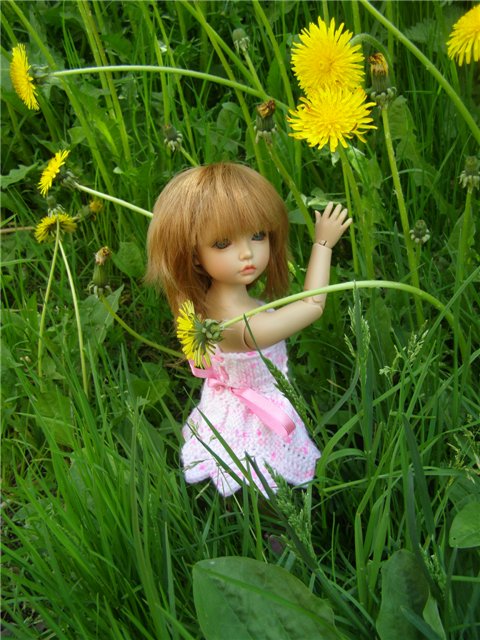 Воскресная прогулка (заключительная часть)