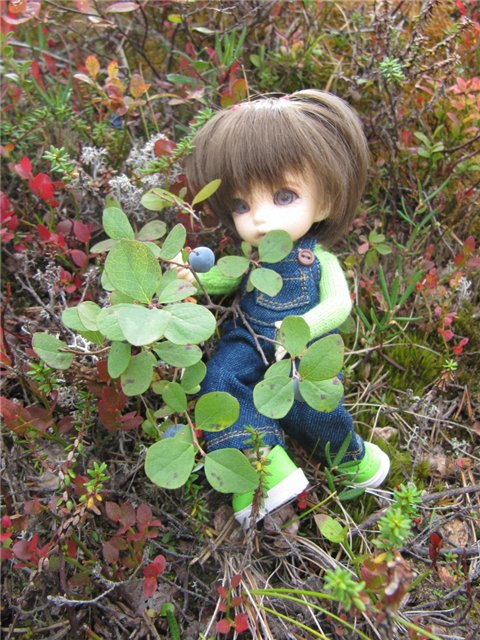 Как Майка за ягодами ходила. Кукла БЖД | Бэйбики Как Майка за ягодами ходила. Кукла БЖД