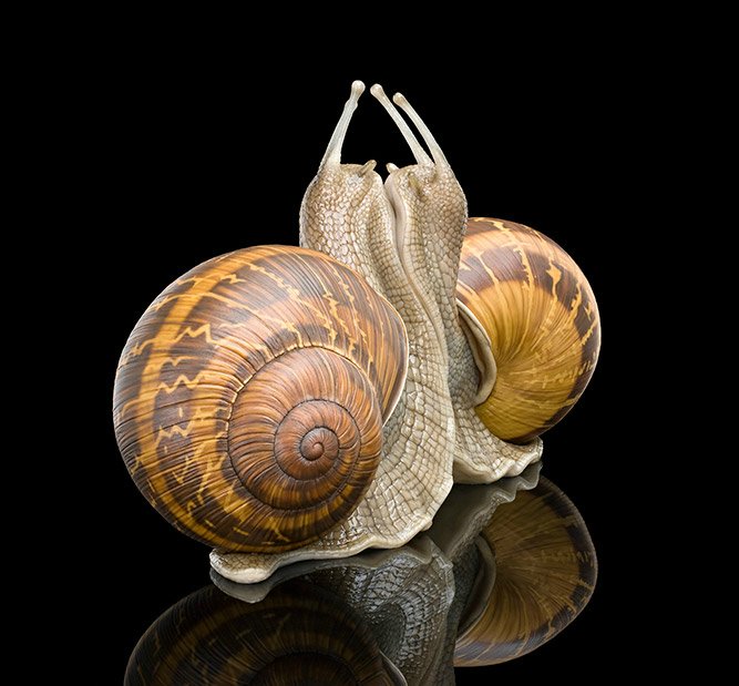 Гиперреалистичные скульптуры Сэма Джинкса | Бэйбики Гиперреалистичные скульптуры Сэма Джинкса