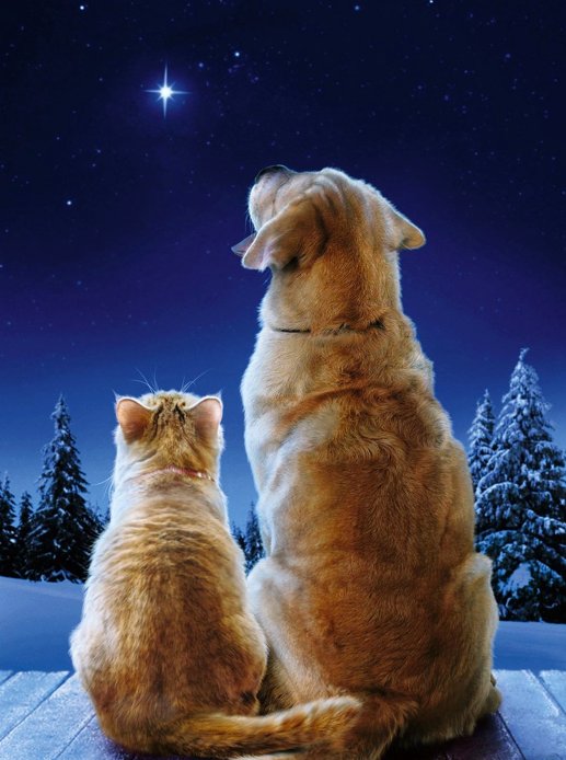 А у нас сегодня Рождество! Куколы Hildegard Gunzel под елкой (фото 3)