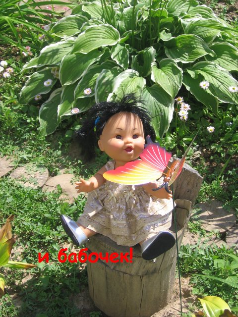 Как мои Фейсинки отдыхали