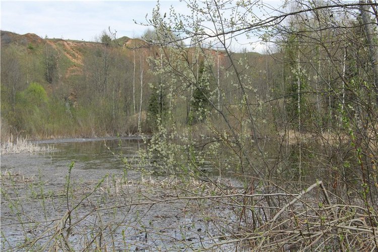На водопад с Райли. Riley от автора Helen Kish (фото 6)