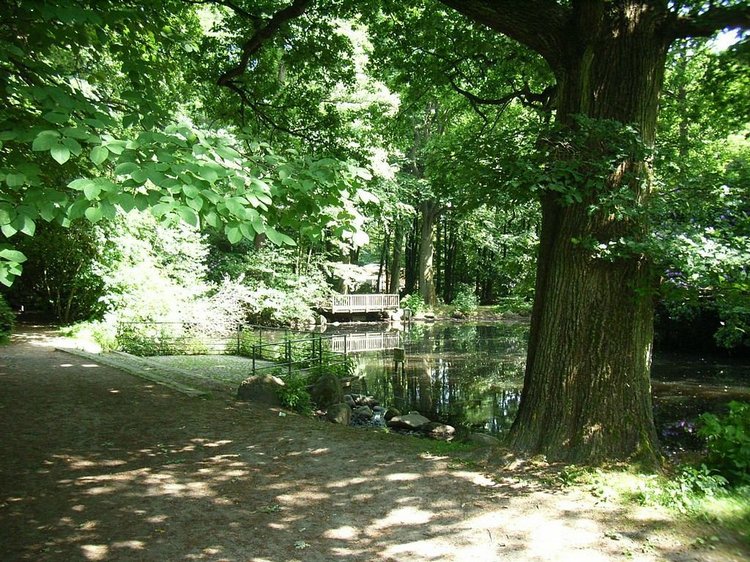 Hirschpark Hamburg. Олений парк. ВИДЕО