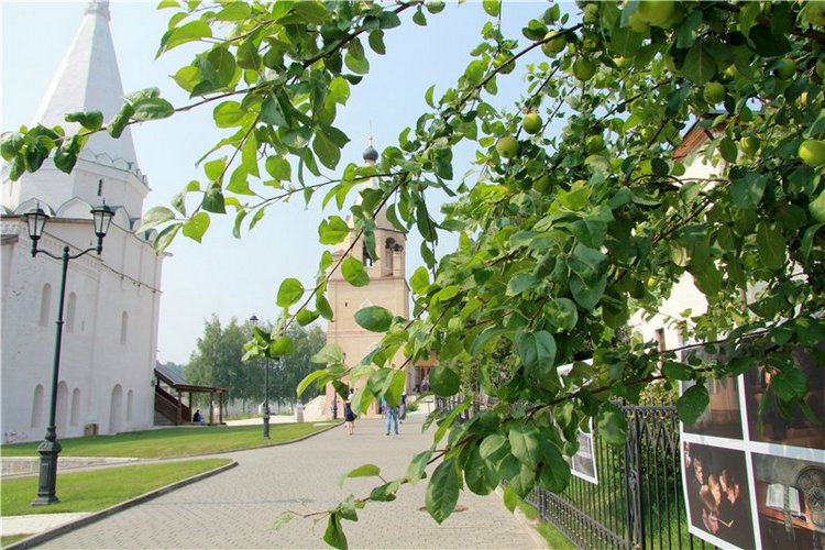 До свидания, Июль! Minouche от Sylvia Natterer