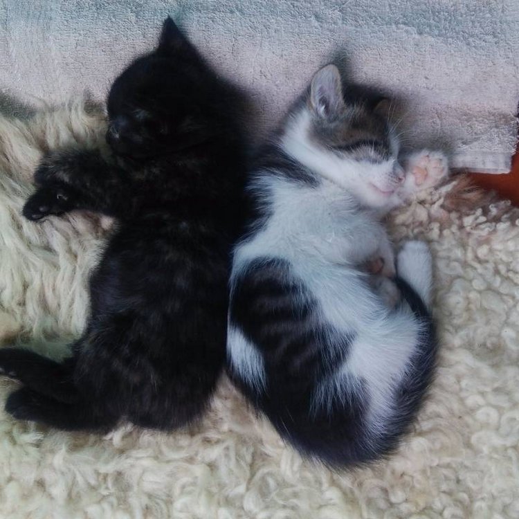 Те, кто нас любит и в домашнем халате, и без косметики, и растрепанными | Бэйбики Те, кто нас любит и в домашнем халате, и без косметики, и растрепанными