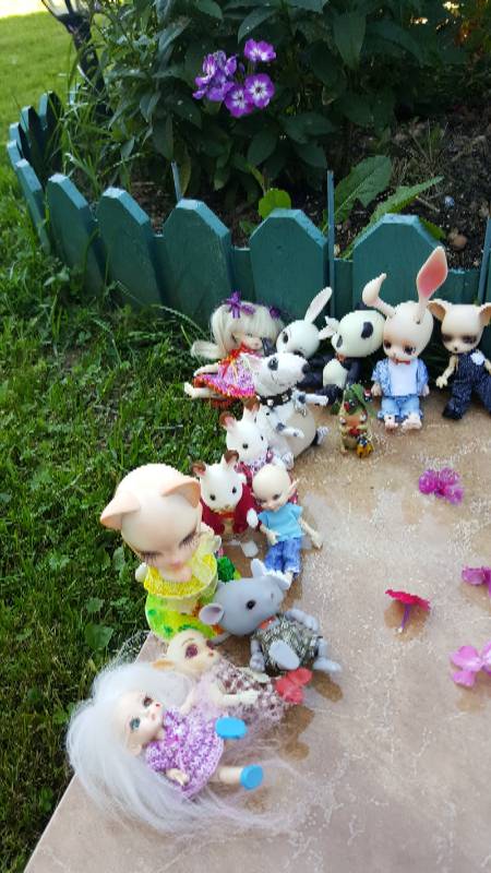 Большая свадьба Панг-Панга и Джулии (фото 8)