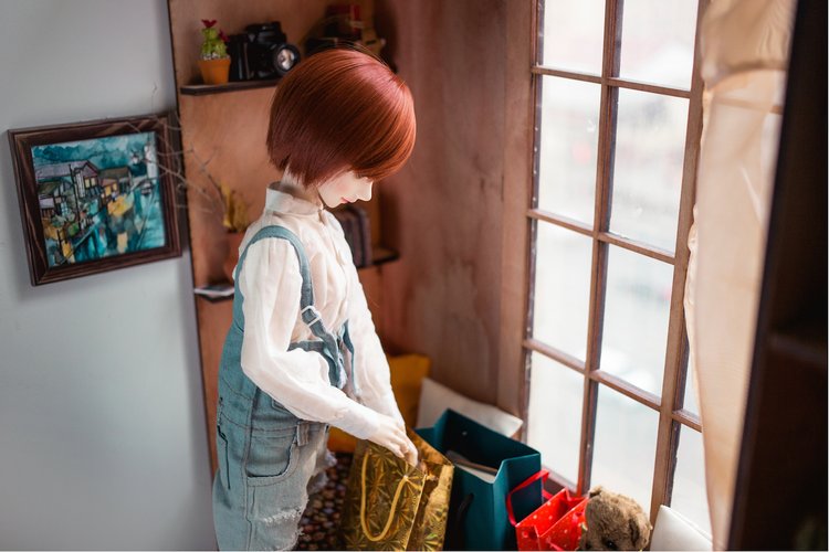 Неизвестный номер — Фотоистории с куклами BJD (БЖД): сериалы (фото 2)