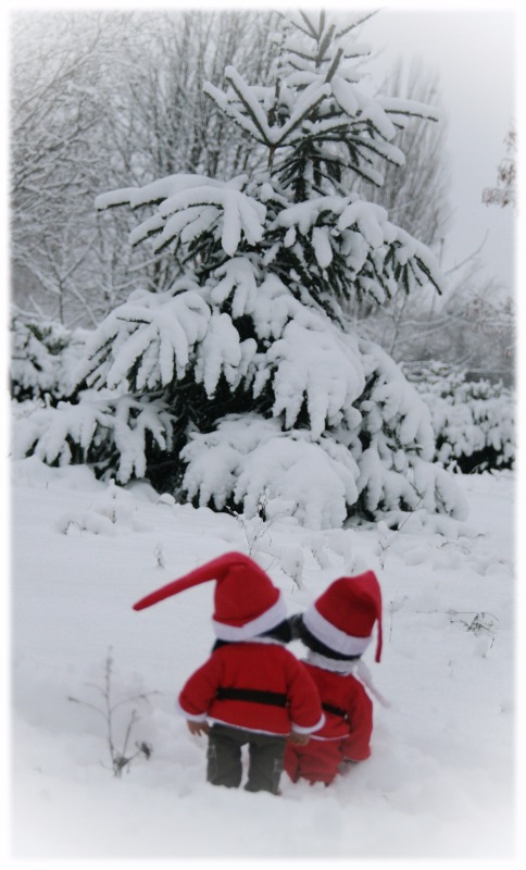 Из жизни маленькой банды. Детки Gabriele Müller. Часть 3 - Накануне Рождества и другое