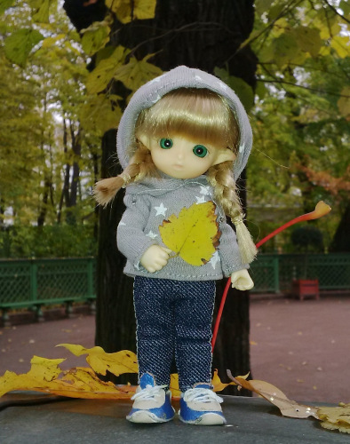 Юлька в Питере — Куклы Brownie (Брауни) Felix Doll: Tiny BJD (БЖД) (фото 2)