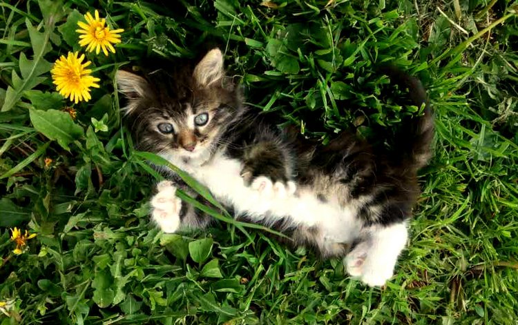 Кукла Нина. Мой подарок от подруги