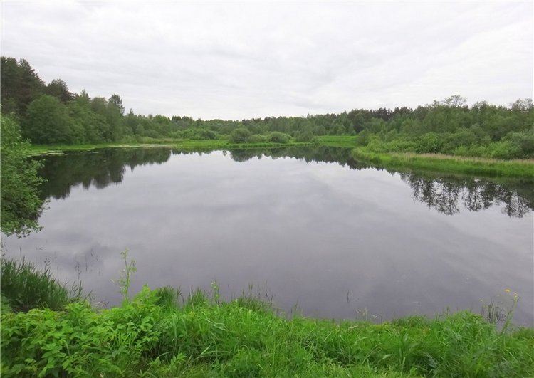 Китти и Гретхен на Орше — Куклы Gabriele Muller (Габриэле Мюллер): немецкий фарфор (фото 5)