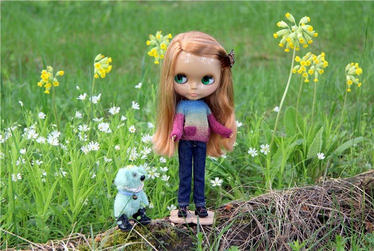 Блайзочки на природе — Оригинальные куклы Blythe (Блайз): Takara