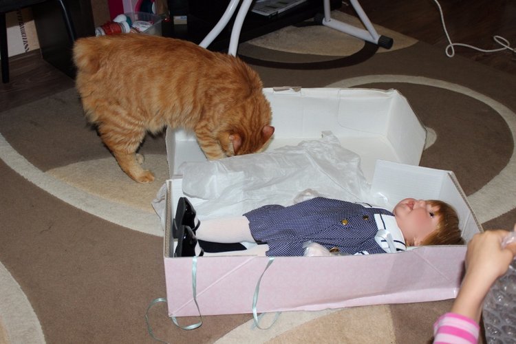 Сказочная девочка Алиса Classic Charm Lee Middleton doll (фото 2)