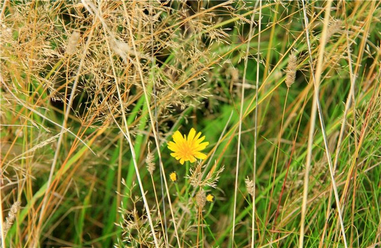 Тверской Водопад — Туризм и путешествия: фотоотчеты из поездок