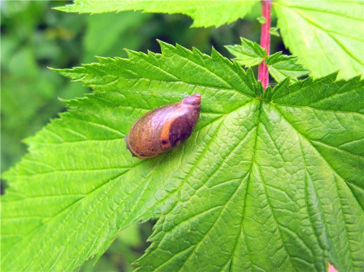 Тверской Водопад — Туризм и путешествия: фотоотчеты из поездок
