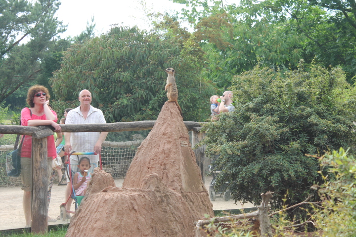 По Германии: зоопарк Лейпцига, часть 3