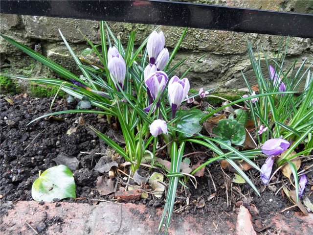 Прогулка по Кентербери — Туризм и путешествия: фотоотчеты из поездок (фото 5)