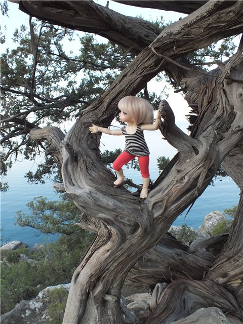 Крымские каникулы для Оливки | Бэйбики Крымские каникулы для Оливки (фото 10)