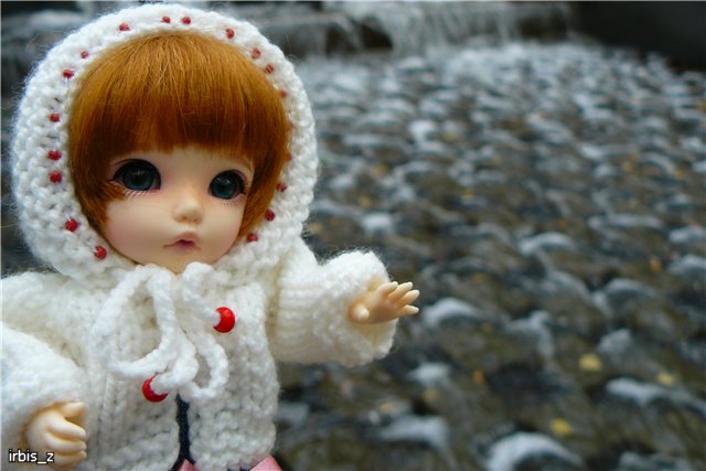 Вот так погуляли или Как у нас появилась кукла БЖД LittleFee Ante Elf