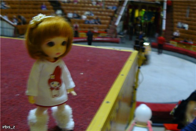 Вот так чудеса или как Ариэль в Большой Московский Цирк ходила. PukiFee Ante Ариэтти, PukiFee Bonnie Ариэль