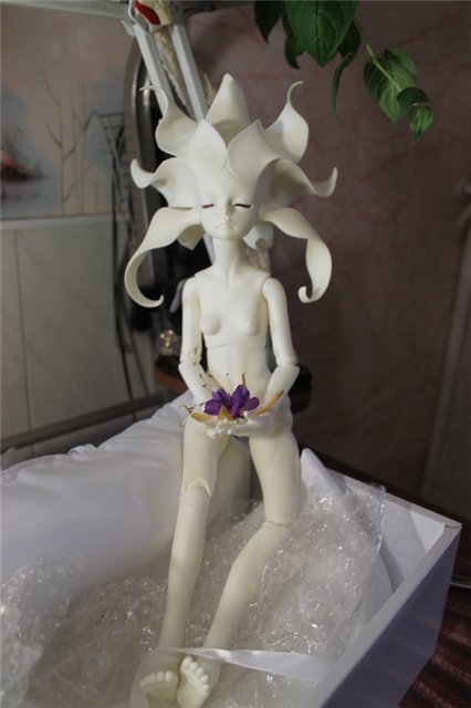 Новые Цветочки, у меня в Садочке! Anson Fairies, Dollzone (фото 5)