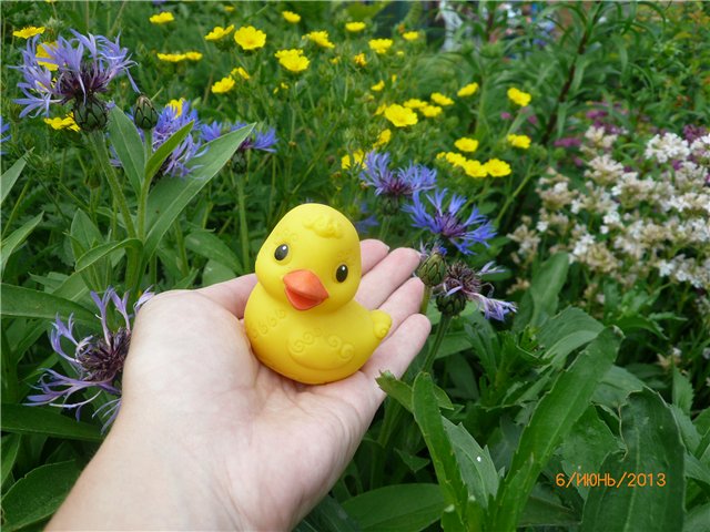 Мои позитивчики — Домашние коллекции кукол: фото собраний