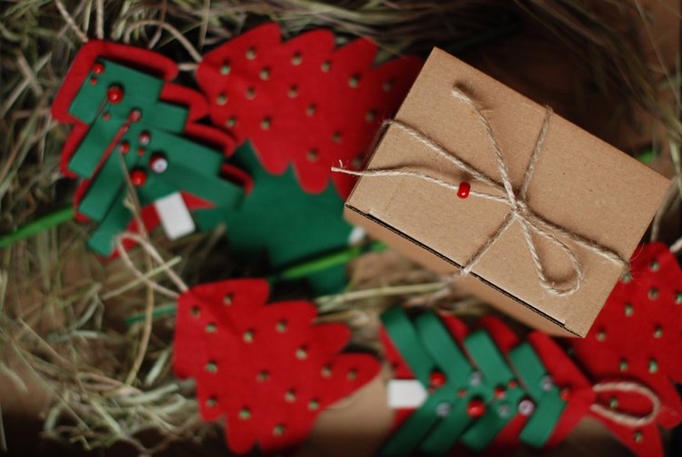 Ёлки-иголки — Другие хобби и увлечения: сад (фото 3)