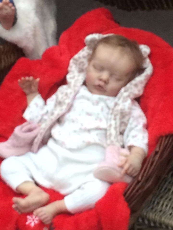 А мы приехали с выставки! Куклы реборн на выставке "Искусство куклы 2016". Фотоотчет