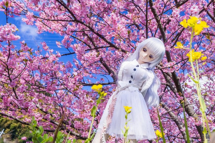 Красивые волшебные фотографии кукол от Azure Япония