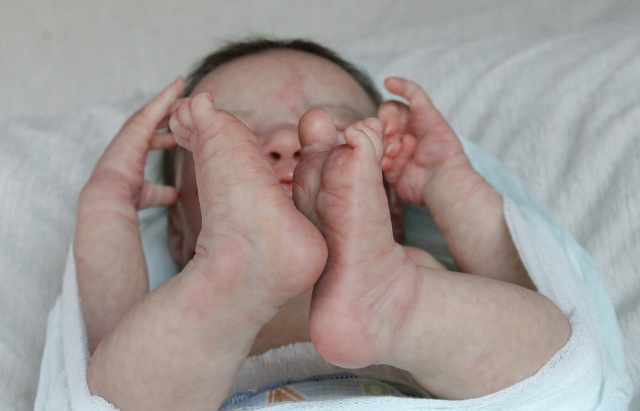 Сиренити от Екатерины Бойковой. Serenity Laura Lee Eagles