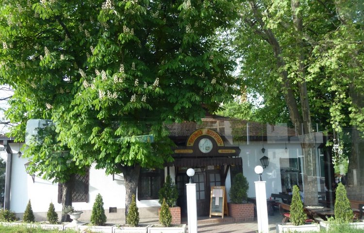 Немного о Белграде, Сербия