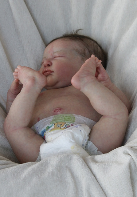 Сиренити от Екатерины Бойковой. Serenity Laura Lee Eagles