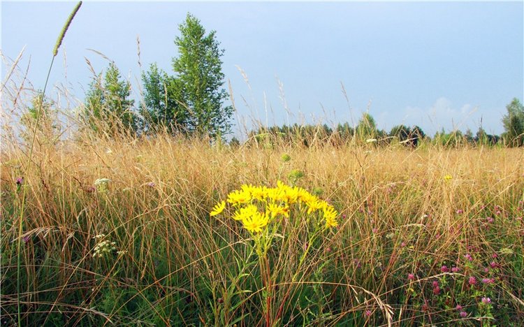 Тверской Водопад — Туризм и путешествия: фотоотчеты из поездок
