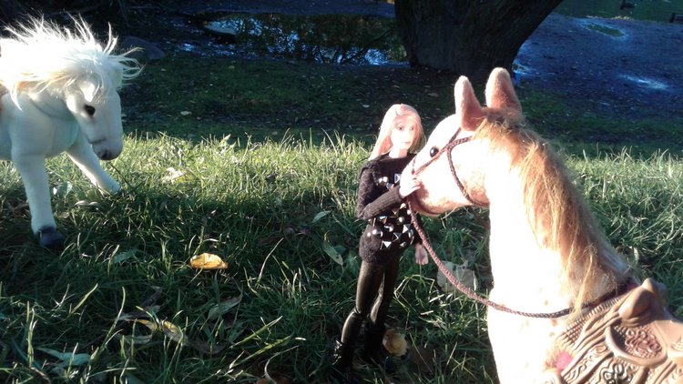 Зимнее солнце. Глава 6. Дом там, где сердце (фото 10)