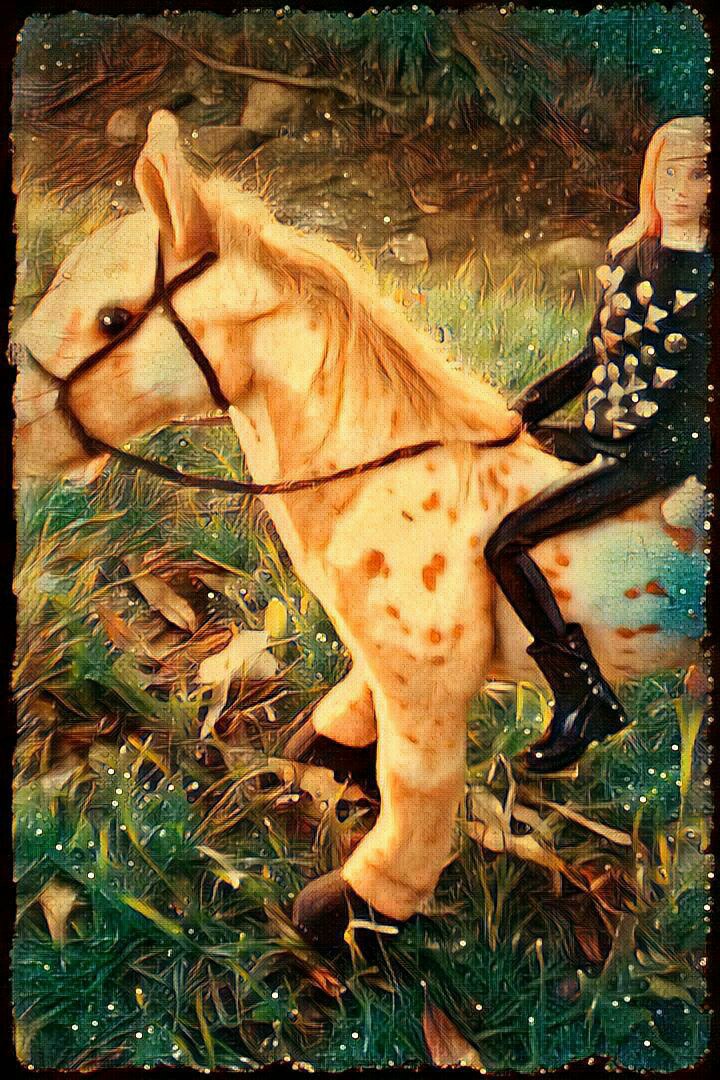 Зимнее солнце. Глава 5. Воспоминания