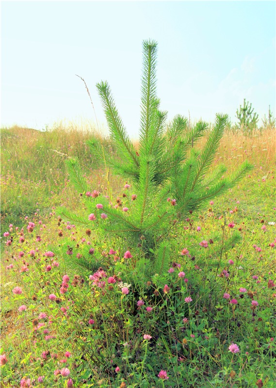 Тверской Водопад — Туризм и путешествия: фотоотчеты из поездок