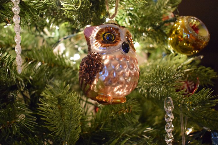 Болталка и разговоры обо всем: жизнь