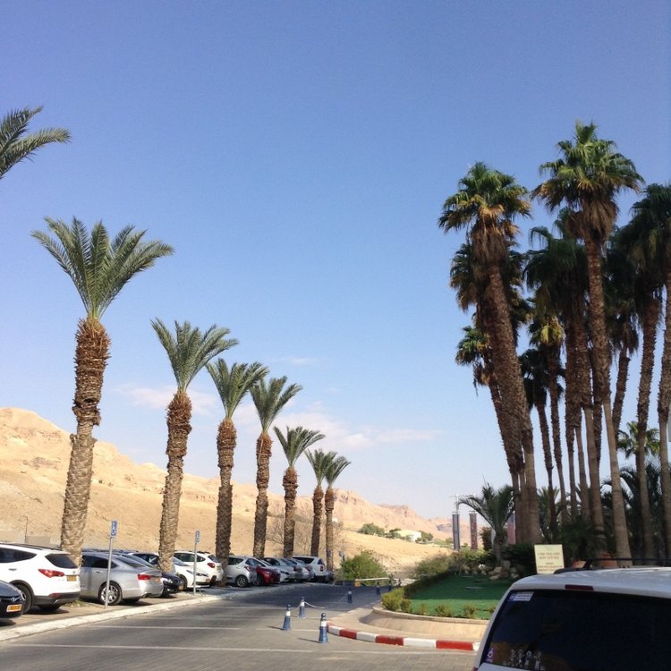 Белое солнце пустыни. Ч.1 Дорога к морю