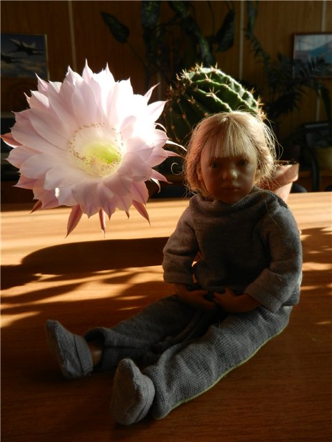 Kleine Himmelschlusselchen и Kleine Мирте (Annette Himstedt) (фото 3)