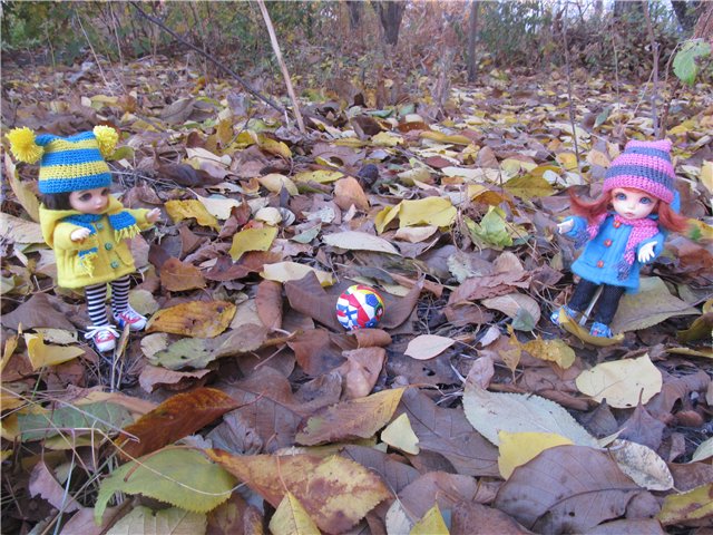 Осенняя прогулка | Бэйбики Осенняя прогулка — Куклы Fairyland (ФэйриЛэнд): BJD (БЖД) (фото 8)