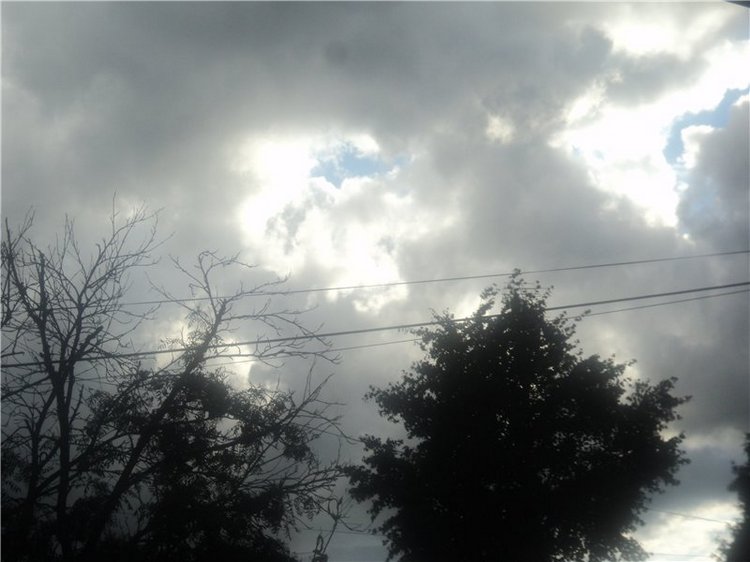 Ждем лета и верим в чудо! Куклы Готц и наряды (фото 7)